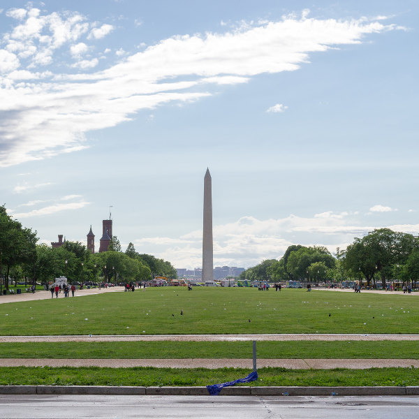 Washington DC Gardens and Greenery