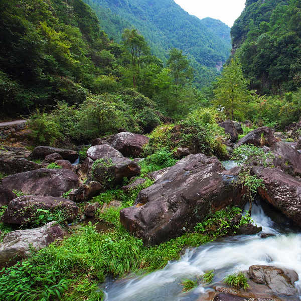 Wenzhou wenzhou nature