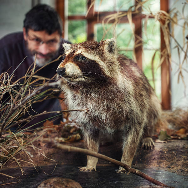 Winnipeg wild-animals-winnipeg-museum