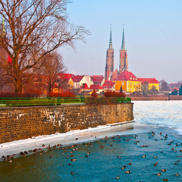 Wrocław River Oder with Ducks Wroclaw