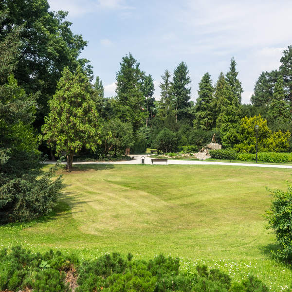 Wrocław Szczytnicki Park Wroclaw