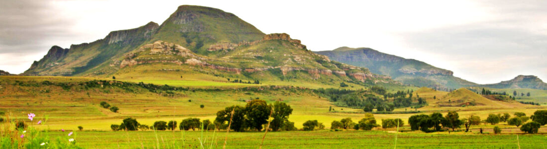 Bloemfontein flights