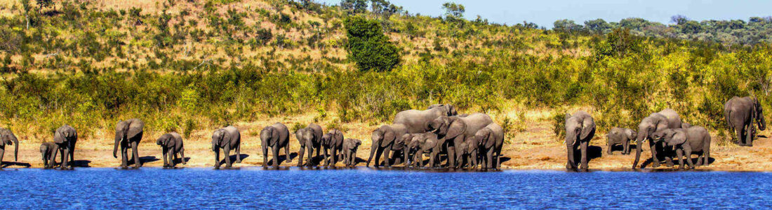 Nelspruit flights