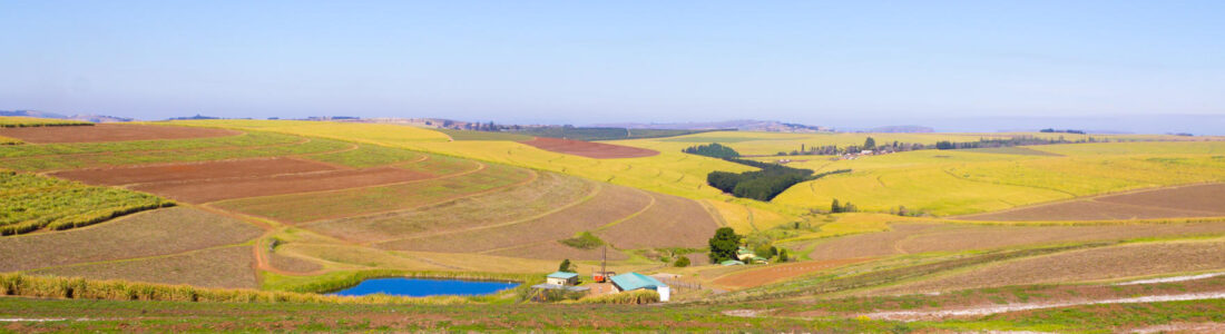 Pietermaritzburg flights