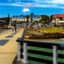 Port Elizabeth flights