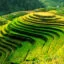 Vietnam flights