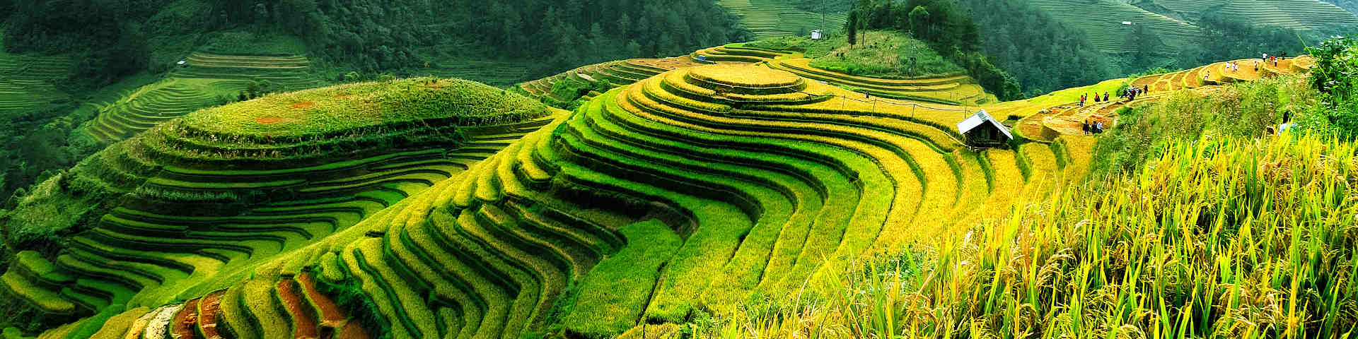 Vietnam flights