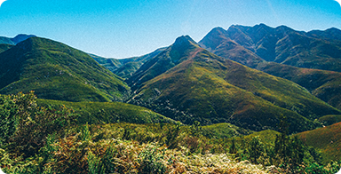 Outeniqua Nature Reserve George