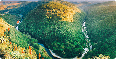George Viewpoint